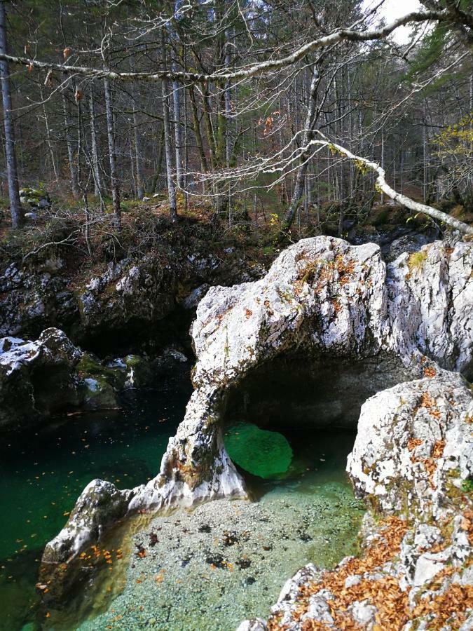 Planika B&M Lejlighed Bohinj Eksteriør billede