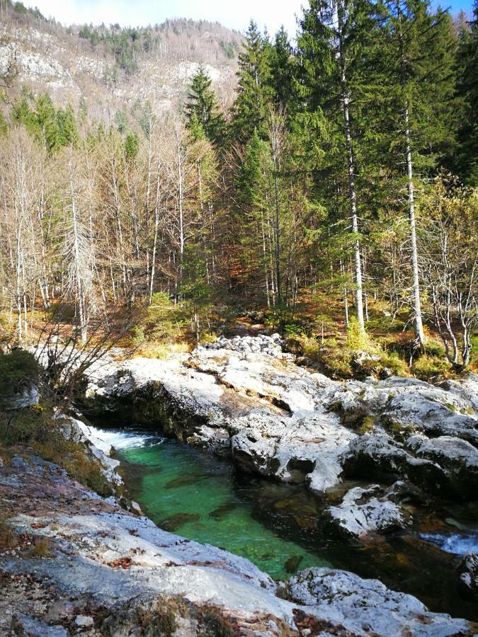 Planika B&M Lejlighed Bohinj Eksteriør billede