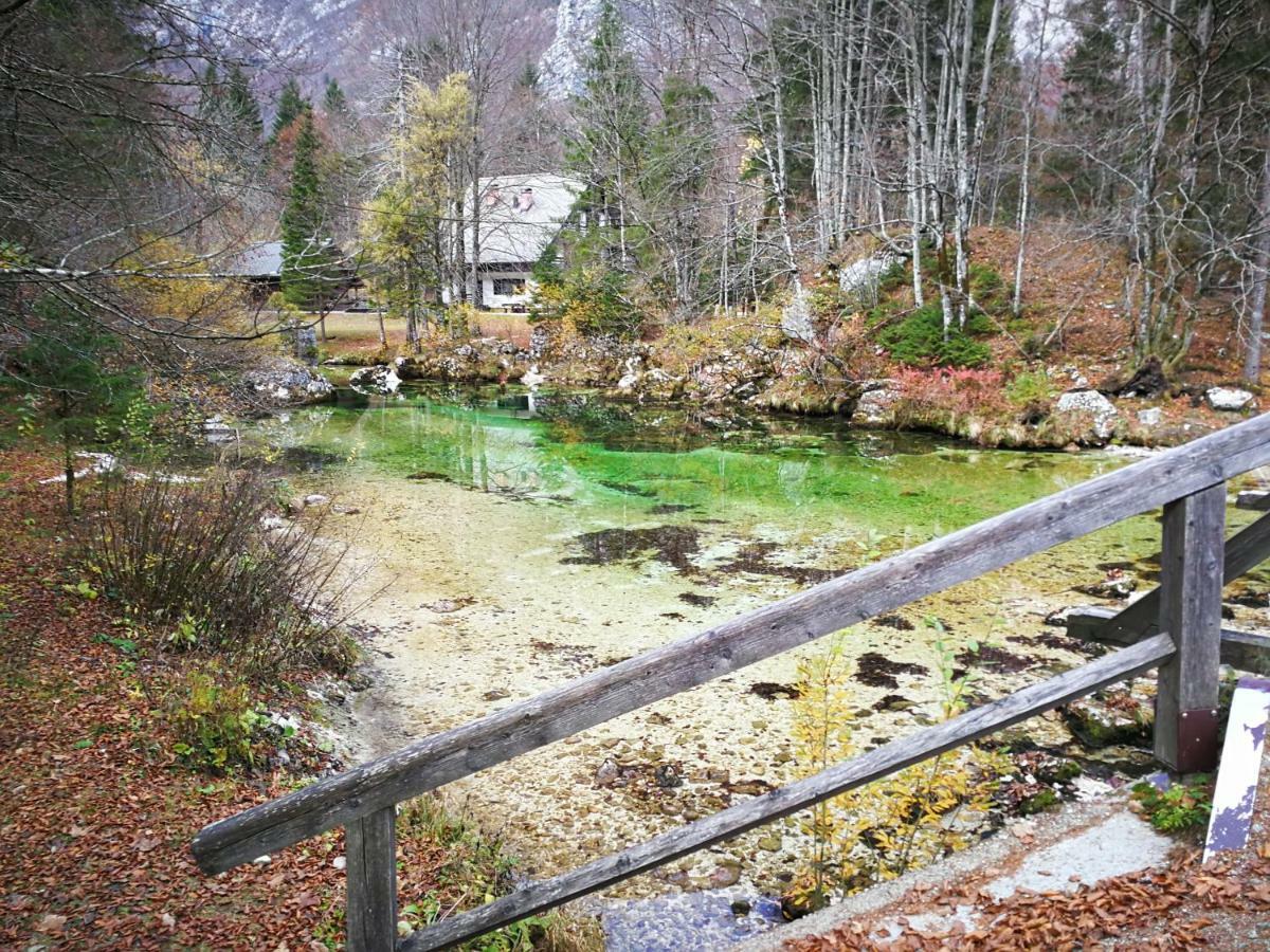 Planika B&M Lejlighed Bohinj Eksteriør billede