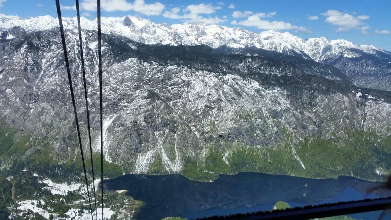 Planika B&M Lejlighed Bohinj Eksteriør billede